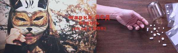 дурь Гусев
