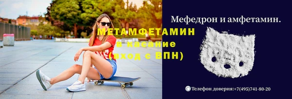 сатива Няндома