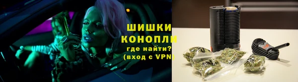 дживик Гусь-Хрустальный