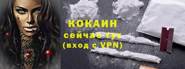 дживик Гусь-Хрустальный