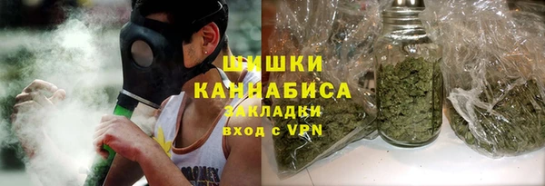 дживик Гусь-Хрустальный